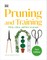 Pruning and Training