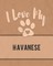 I Love My Havanese