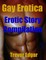 Gay Erotica: Erotic Story Compilation