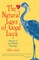 The Natural Laws of Good Luck