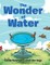 The Wonder of Water