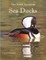 The North American Sea Ducks