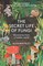 Whiteley, A: Secret Life of Fungi