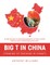 Big T in China (Thinking of Teaching in China?)