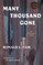 Many Thousand Gone: An American Fable