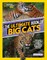 The Ultimate Book of Big Cats
