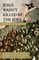 Jesus Wasn't Killed by the Jews