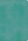 ESV Student Study Bible (Trutone, Turquoise)