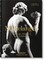 Michelangelo. the Complete Paintings, Sculptures and Arch.