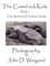 "the Comeback Kids" Book 1, the Northern Elephant Seals
