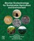 Biochar Ecotechnology for Sustainable Agriculture and Environment