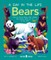 Bears (a Day in the Life)