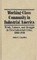 Working-Class Community in Industrial America