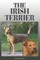 The Irish Terrier