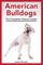 American Bulldogs