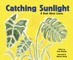 Catching Sunlight