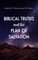 Biblical Truths and the Plan of Salvation