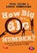 How Big is a Big Number?
