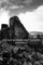 The Past in Prehistoric Societies