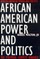 African American Power and Politics