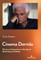 Cinema Derrida; The Law of Inspection in the Age of Global Spectral Media