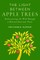 The Light Between Apple Trees