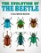 The Evolution of the Beetle Coloring Book