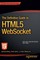The Definitive Guide to HTML5 WebSocket