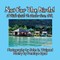 Not for the Birds! a Kid's Guide to Amber Cove, Dr