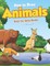 How to Draw Animals Step-by-Step Guide