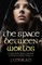 The Space Between Worlds