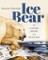 Ice Bear