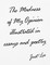 The Madness of My Opinion Illustrated In Essays and Poetry