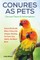 Conures as Pets