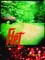 Flet