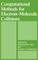 Computational Methods for Electron--Molecule Collisions