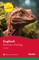 Dinosaur Hunting