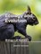 Principles of Biology Ecology and Evolution