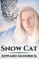 Snow Cat