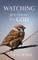 Watching the Sparrows with God