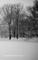 Central Park New York Journal