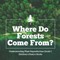 Where Do Forests Come From? Understanding Plant Reproduction Grade 5 Children's Nature Books