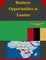 Business Opportunities in Zambia