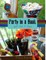 Party in a Book