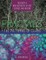 Fractals