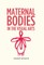 Maternal bodies in the visual arts
