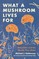 What a Mushroom Lives For