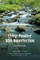 Living Positive With Imperfection