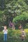 Abe and the Wee Folk