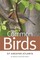 Common Birds of Greater Atlanta